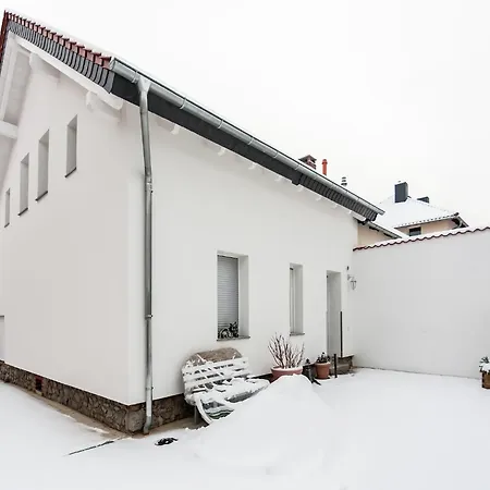 Comfort With Garden, Cleaning Included Apartament *